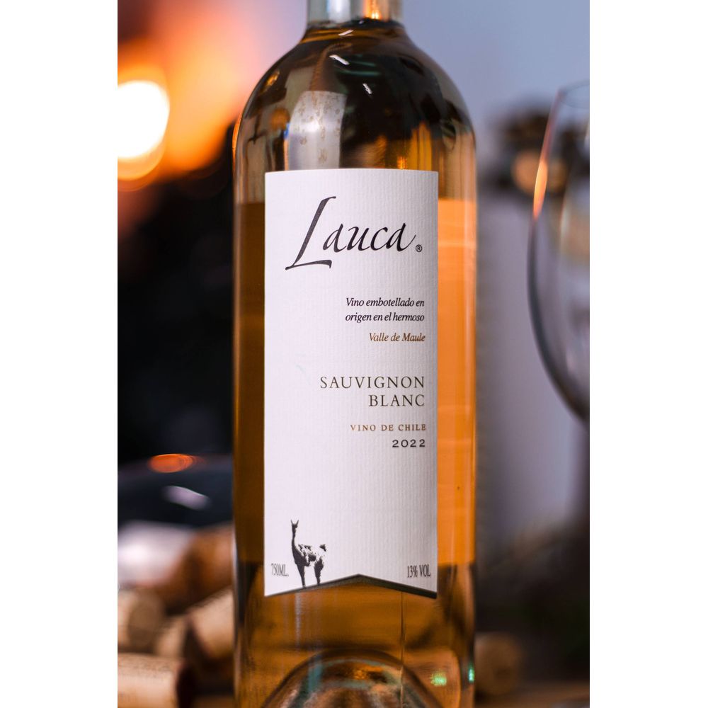 VINHO BRANCO CHILENO LAUCA SAUVIGNON BLANC 750ML - secundária