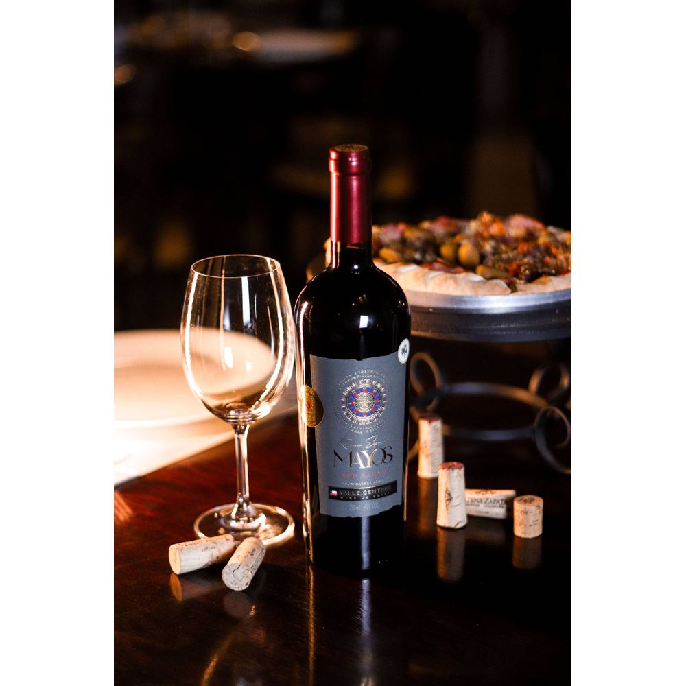 VINHO TINTO CHILENO RED BLEND MAYOS RESERVA ESPECIAL 750ML - secundária
