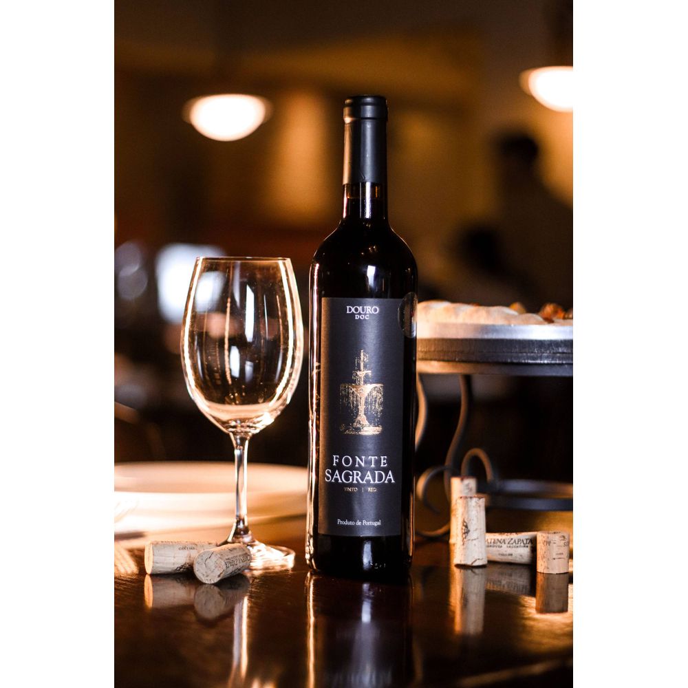 VINHO TINTO PORTUGUES FONTE SAGRADA DOURO 750ML