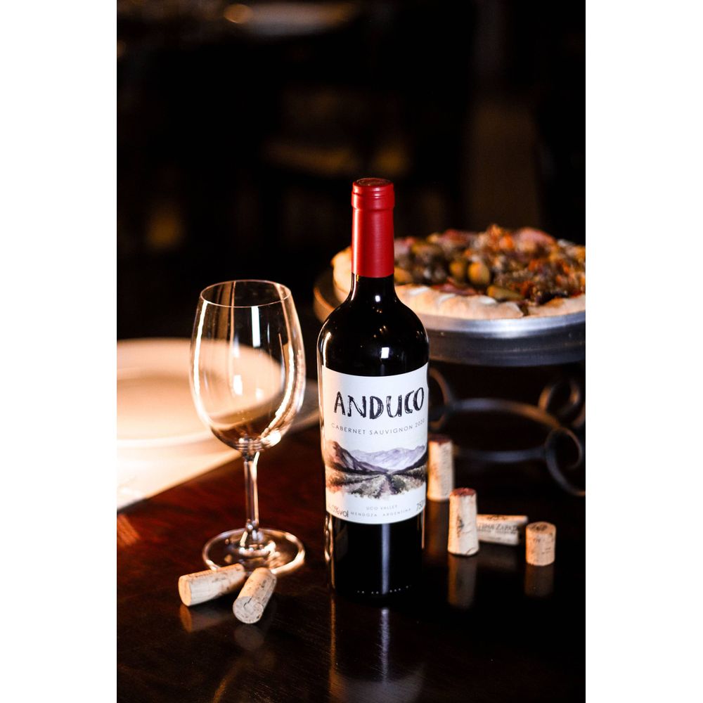 VINHO TINTO CHILENO ANDUCO CABERNET SAUVIGNON 750ML - secundária