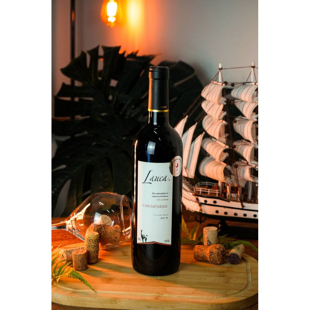 VINHO TINTO CHILENO LAUCA CARMENERE 2019 750ML - secundária