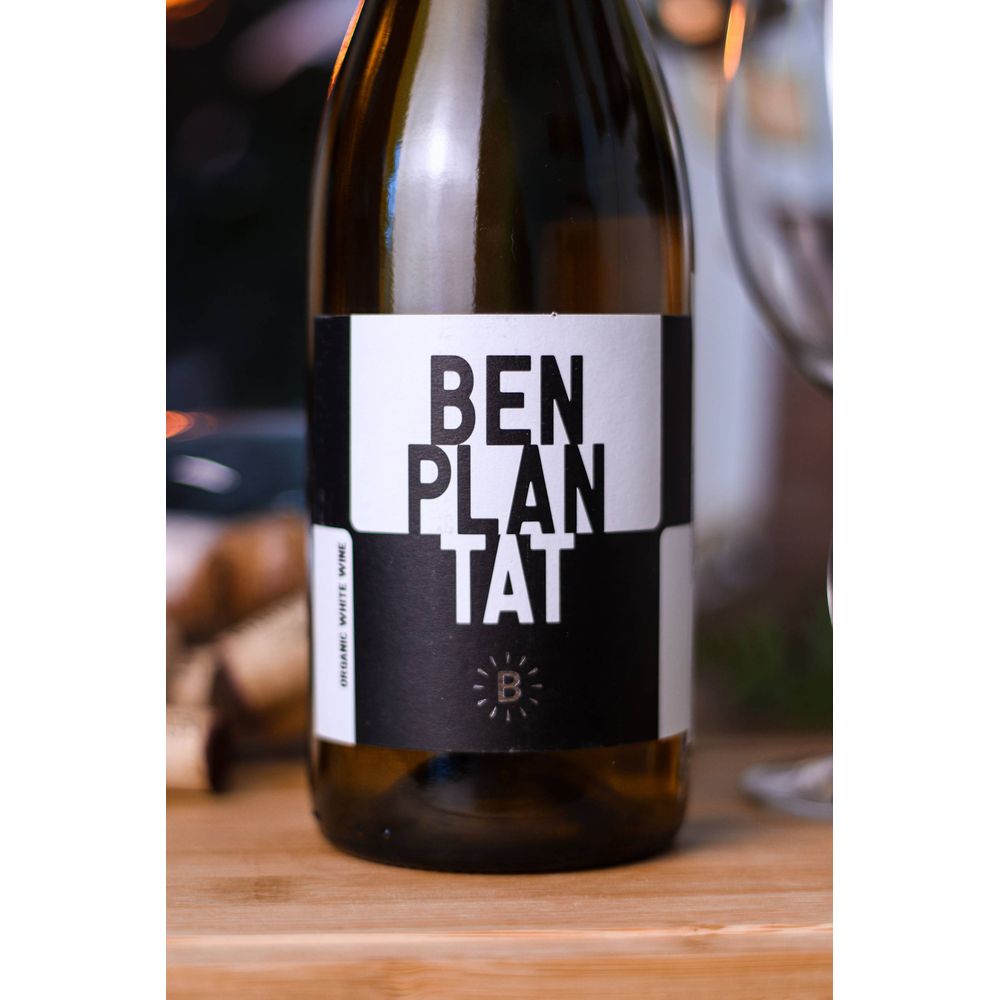VINHO BRANCO ESPANHOL BENPLANTAT BLANC JOVE 750ML - secundária