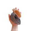 CASCO BOVINO KIT DE 6 UN - LUV