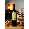 VINHO TINTO ARGENTINO ALTUS GUALTALLARY CABERNET SAUVIGNON