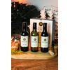 KIT COM 3 MINI VINHOS MONTE PASCHOAL RESERVA