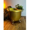 CHAMPANHEIRA BANHEIRA MASTER DOURADA 16L PARA 8 GARRAFAS