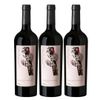 Kit Casa Venturini Vinho Tinto Cabernet Franc 2022