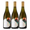 Kit Monte Agudo Vinho Branco Vivaz Sauvignon Blanc 2022