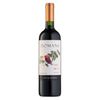 Cave de Angelina Vinho Tinto Domans Tannat 2023