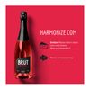 Audaz Espumante Rosé Brut