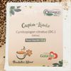 Chá de Capim Limão - 15g - Sabor Gaúcho