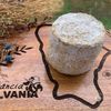 Desejo Silvania