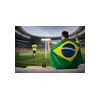 Bandeira Brasil País 90x60 Futebol Copa Jogo Torcedor Fiel