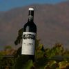 Vinho Malbec Clássico Altos Las Hormigas Argentina 750ml