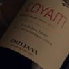 Vinho Tinto Chileno Emiliana Coyam Carménère, Syrah 750ml