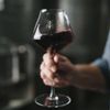 Vinho Malbec Clássico Altos Las Hormigas Argentina 750ml