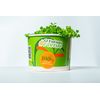 Microverdes de Mostarda