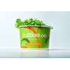 Microverdes de Couve