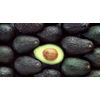 Avocado Abacate - 10 Doses Congeladas