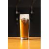 FROHENFELD COPO LAGER 320ML