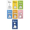 BICO MAMADEIRA AVENT PÉTALA Nº 2 - 1m + - 2 UNID. EM SILICONE 0% BPA - PHILIPS AVENT