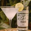 GIN SEM ALCOOL MIDEN ALTERNATIVE ZERO AÇUCAR ZERO CALO 700ML