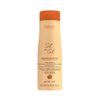 SHAMPOO REPOSITOR SOL A SOL - 300ML