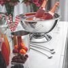 BALDE DE GELO TRAMONTINA COSMOS EM AÇO INOX ACABAMENTO FOSCO 10CM 0,9L