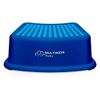 DEGRAU INFANTIL COM ANTIDERRAPANTE STEP UP AZUL MULTIKIDS BABY