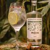 GIN SEM ALCOOL MIDEN ALTERNATIVE ZERO AÇUCAR ZERO CALO 700ML