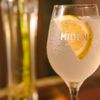 GIN SEM ALCOOL MIDEN ALTERNATIVE ZERO AÇUCAR ZERO CALO 700ML