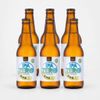 Cerveja Campinas Zero Álcool IPA 355ml - Pack 6 Unidades