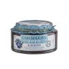 Geleia Casa Madeira ZERO Blueberry (Mirtilo) 220g