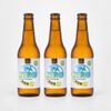 Cerveja Campinas Zero Álcool IPA 355ml - Pack 3 Unidades
