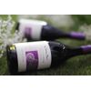 VINHO CONO SUR BICICLETA RESERVA PINOT NOIR 375ml