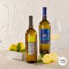 VINHO TERRE DI SAN VINCENZO LA NAVE PINOT GRIGIO IGP 2020 750ml