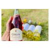 FRISANTE CELLA LAMBRUSCO DELL EMILIA ROSATO IGT 750ml