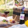VINHO CONO SUR BICICLETA RESERVA MERLOT 750ml