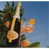 ESPUMANTE CHANDON GARDEN SPRITZ 750 ML