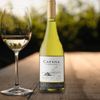 VINHO CATENA CHARDONNAY 750ML