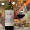 VINHO FLECHA DE LOS ANDES PUNTA WINE ESTATE MALBEC 750ML