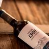 VINHOS TINTOS 