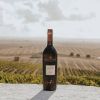 VINHO GONZALEZ BYASS OLOROSO ALFONSO 750ML