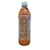 BEBIDA CHA JASMIN E MEL 500ML
