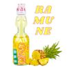 REFRESCO GASEIFICADO ABACAXI HATA