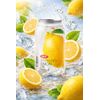 REFRESCO GASEIF.LIMAO OKF 350ML C/24