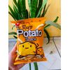 SALGAD BATATA - POTATO SNACK 55g
