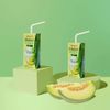 LEITE MELÃO GINGGRAE 200ML
