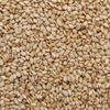 GERGELIM BRANCO TORRADO 100G SUHAI