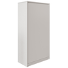 Armário Alto 2 Portas 40x160cm - Linha Beta (Branco)